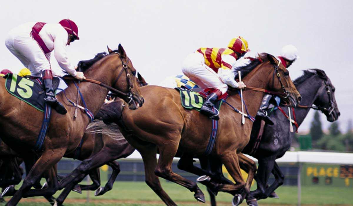 Best foot forward for the Chester Racesa guide to etiquette and dress